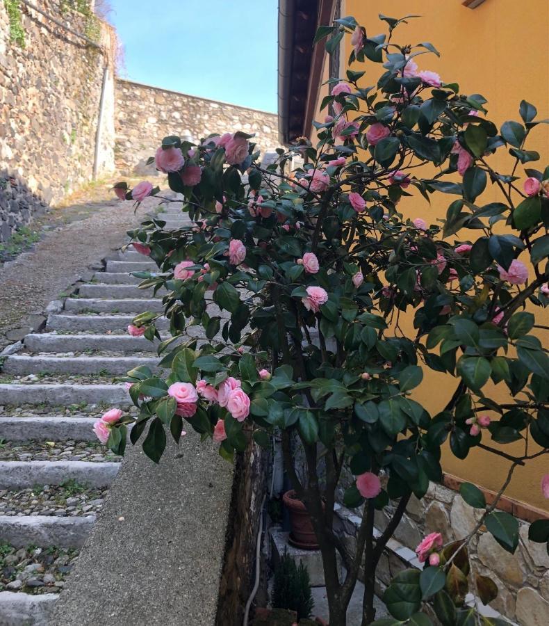 B&B Alle Scalette Trissino Eksteriør billede